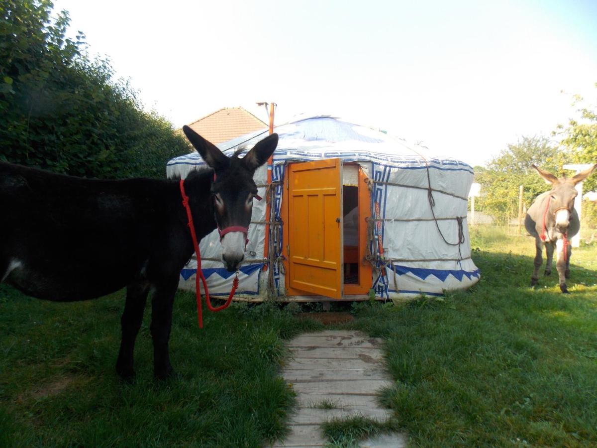 Luxury tent Yourte Mongole